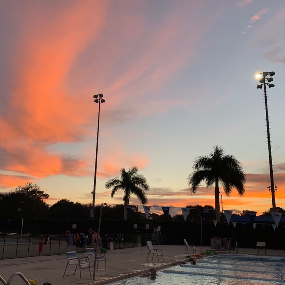 Meet your Posher, Sofia - Picture 1 of 1